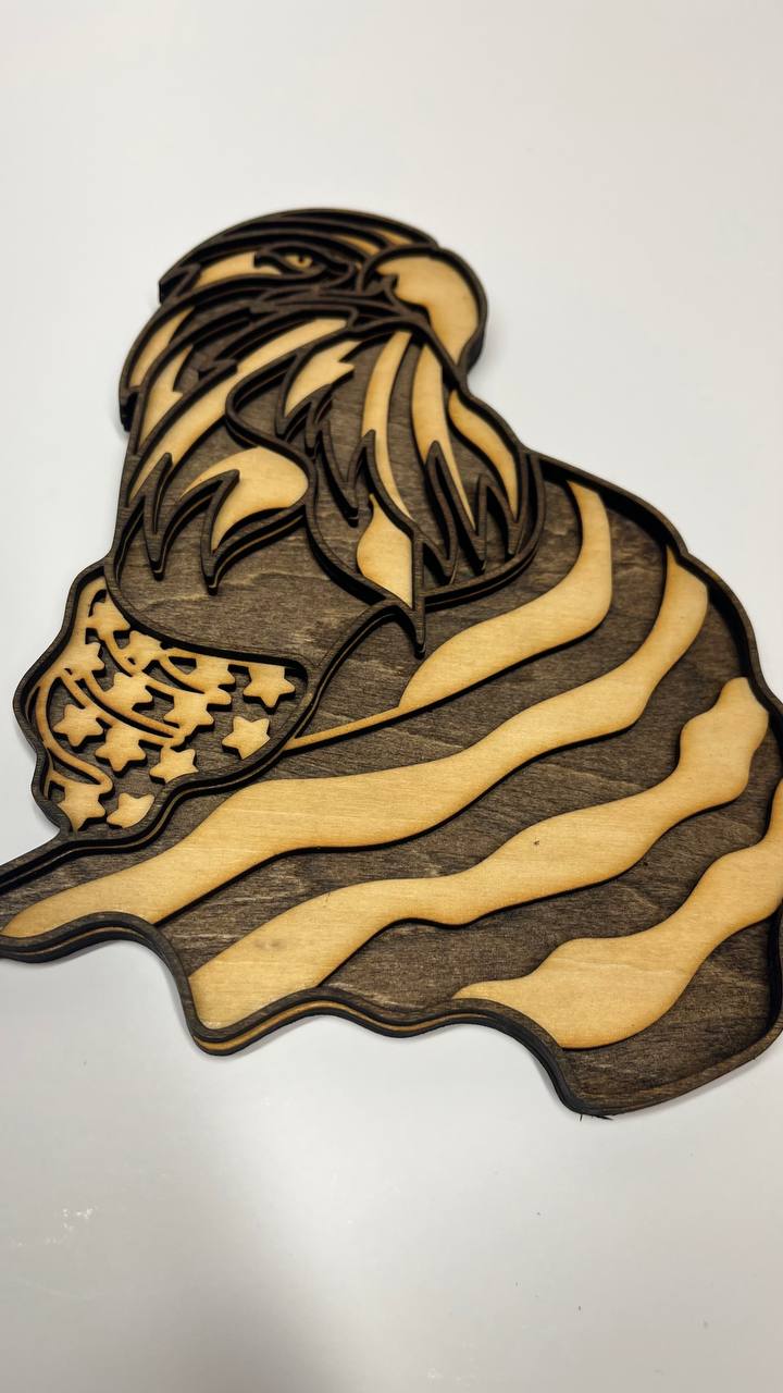 Patriotic Eagle Head with USA Flag โ 2-Layered Wooden Wall Art