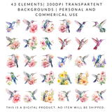 Pastel Watercolor Hummingbird Clipart | 43 PNG Images | 300 DPI Transparent Background | Hand-Painted Bird Illustrations for Sublimation & DIY Projects