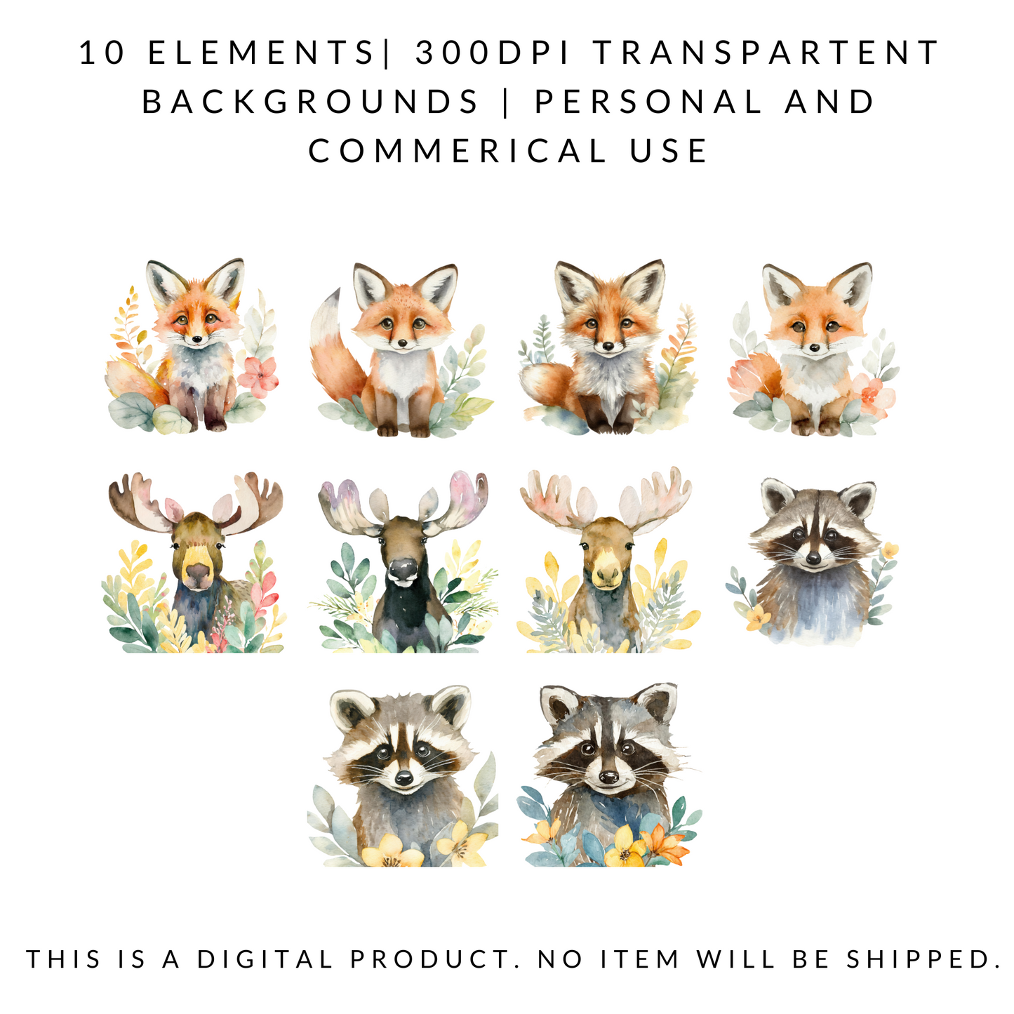 Watercolor Woodland Animals Clipart | 10 PNG | 300 DPI | Raccoon, Fox, Moose | Forest Animal Illustrations for Nursery, Crafts & Sublimation