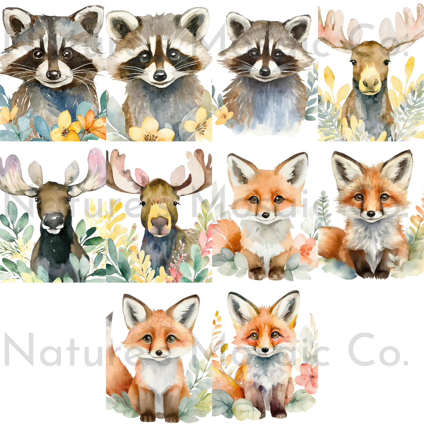 Watercolor Woodland Animals Clipart | 10 PNG | 300 DPI | Raccoon, Fox, Moose | Forest Animal Illustrations for Nursery, Crafts & Sublimation