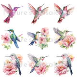 Pastel Watercolor Hummingbird Clipart | 43 PNG Images | 300 DPI Transparent Background | Hand-Painted Bird Illustrations for Sublimation & DIY Projects