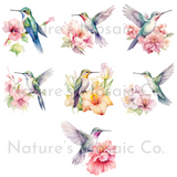 Pastel Watercolor Hummingbird Clipart | 43 PNG Images | 300 DPI Transparent Background | Hand-Painted Bird Illustrations for Sublimation & DIY Projects