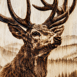 close up of engraved elk