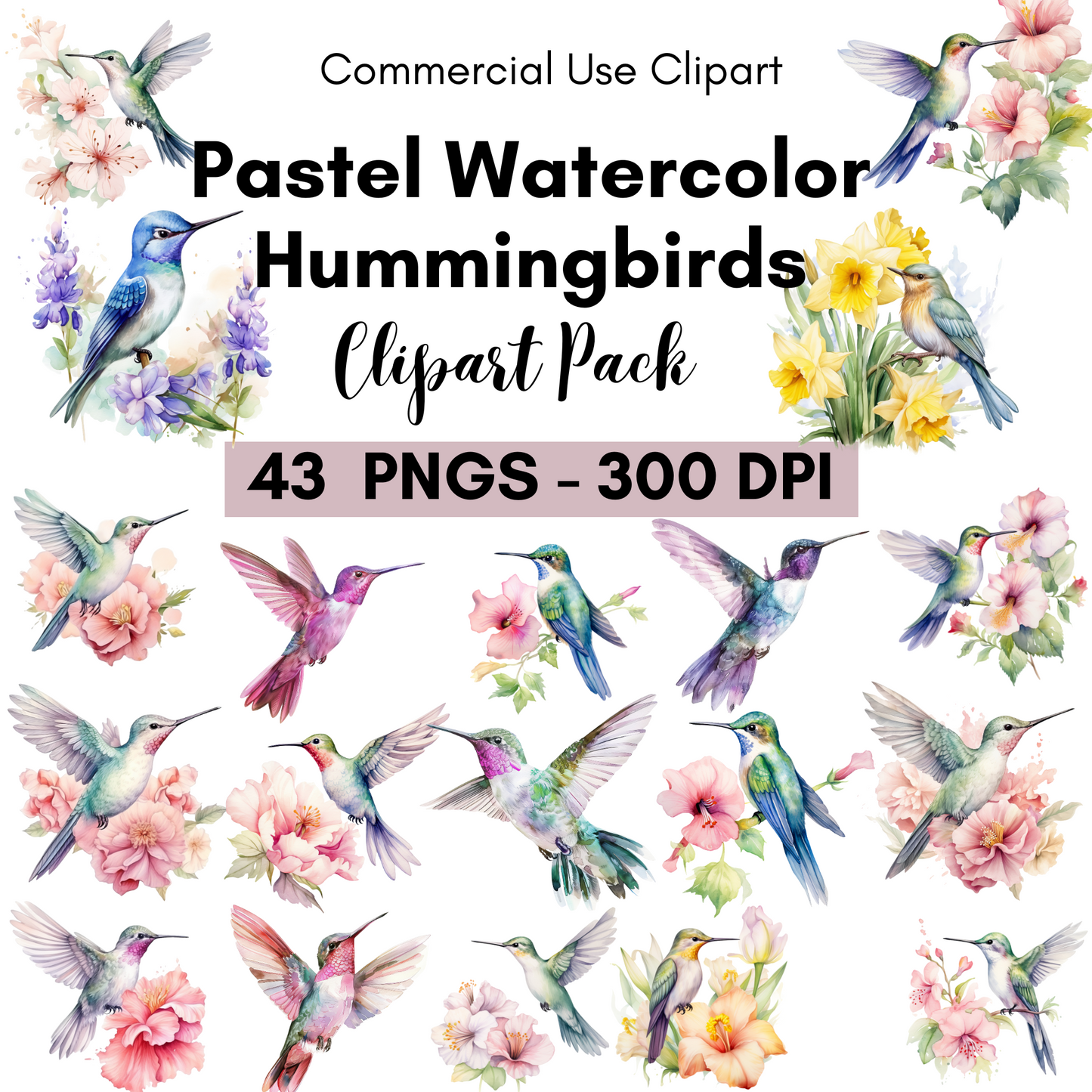 Pastel Watercolor Hummingbird Clipart