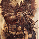 Rustic Moose Bottle Opener Wall Mount – Hand Engraved Pine Cabin Decor – Wildlife Beer Opener